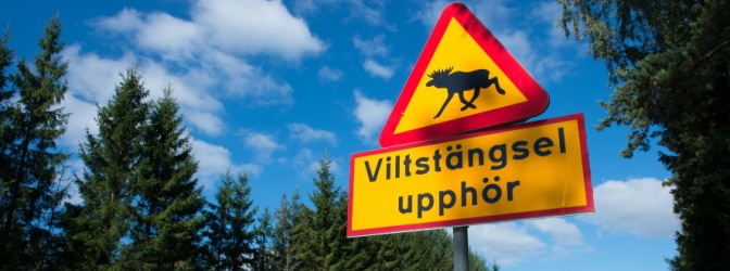 Verkehrszeichen in Schweden: Ob beim Camping oder auf Erkundungstouren durch die schwedische Landschaft, Sie sollten in jedem Fall die wichtigsten Straßenschilder kennen.